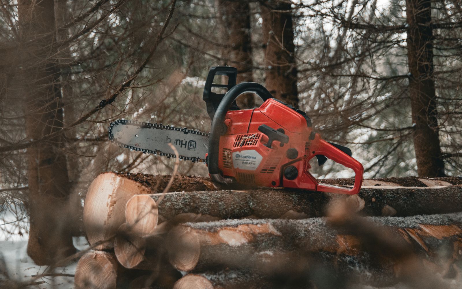A red chainsaw resting on cut logs amidst a snowy forest scene, showcasing winter logging activity.